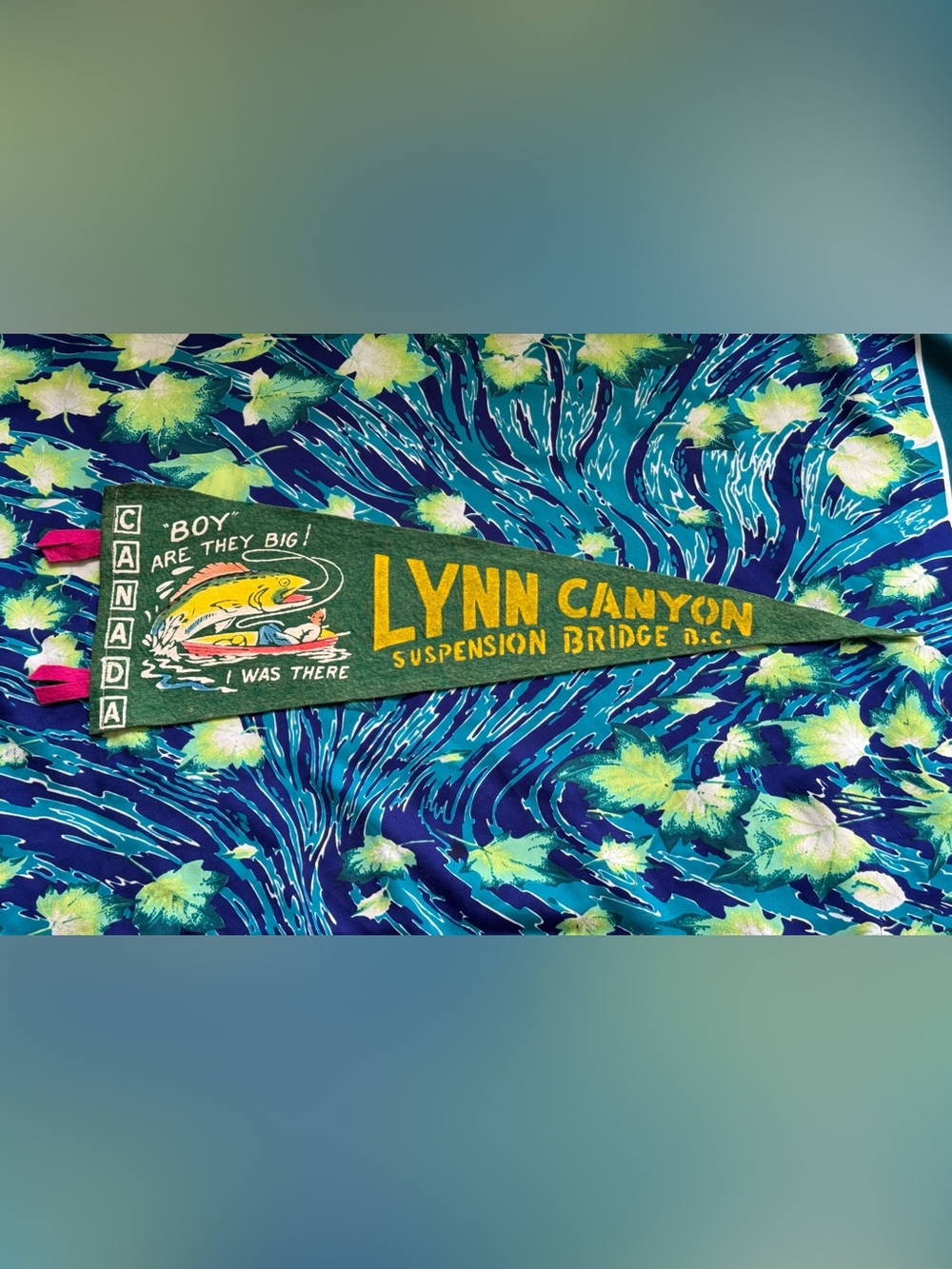 2/$30 ✨Vintage Lynn Canyon BC Pennant Felt Flag✨